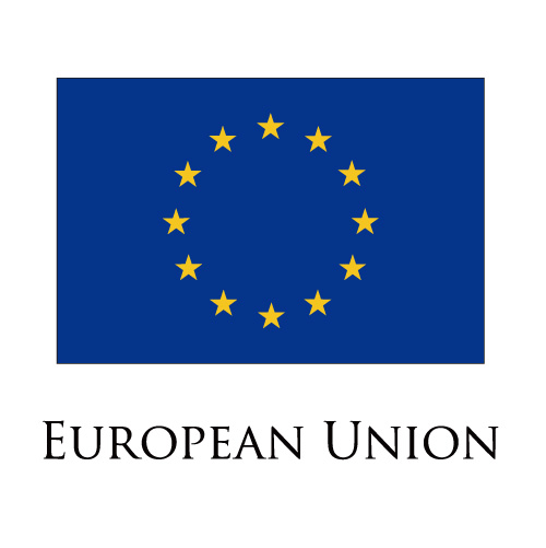 European Union flag logo iron on paper